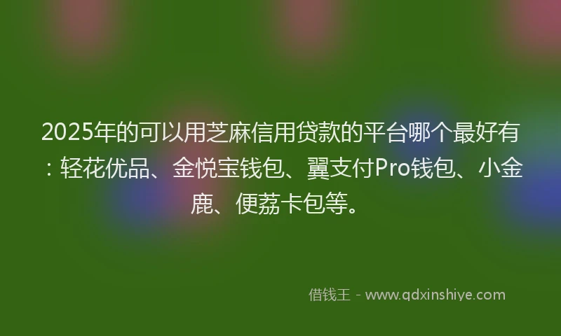 2025年的可以用芝麻信用贷款的平台哪个最好有：轻花优品、金悦宝钱包、翼支付Pro钱包、小金鹿、便荔卡包等。