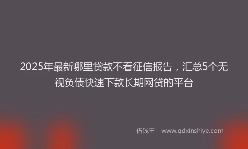 2025年最新哪里贷款不看征信报告，汇总5个无视负债快速下款长期网贷的平台