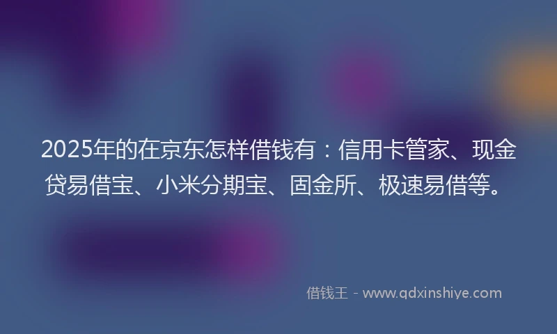 2025年的在京东怎样借钱有：信用卡管家、现金贷易借宝、小米分期宝、固金所、极速易借等。