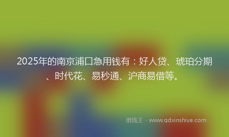 2025年的南京浦口急用钱有：好人贷、琥珀分期、时代花、易秒通、沪商易借等。