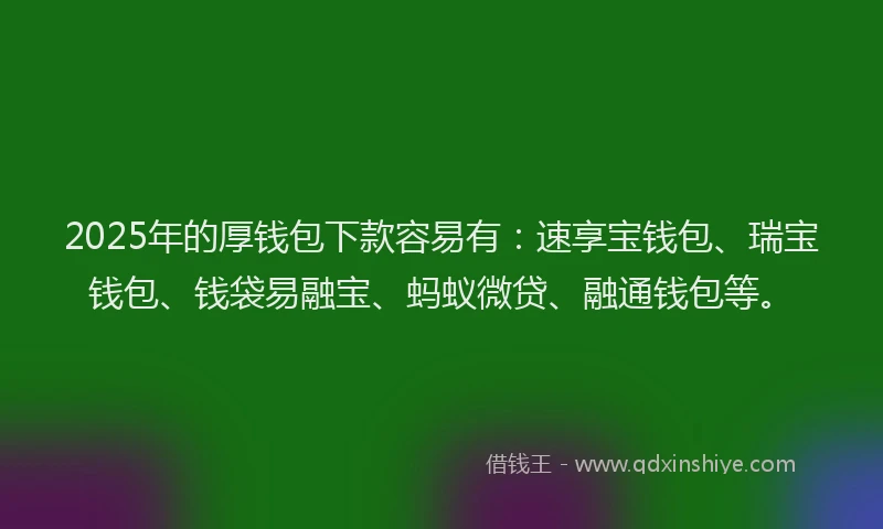 2025年的厚钱包下款容易有：速享宝钱包、瑞宝钱包、钱袋易融宝、蚂蚁微贷、融通钱包等。