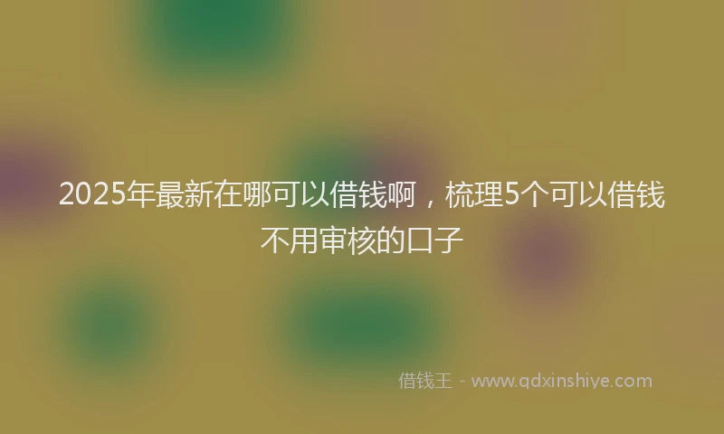 2025年最新在哪可以借钱啊，梳理5个可以借钱不用审核的口子