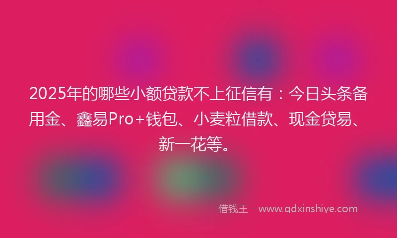 2025年的哪些小额贷款不上征信有：今日头条备用金、鑫易Pro+钱包、小麦粒借款、现金贷易、新一花等。