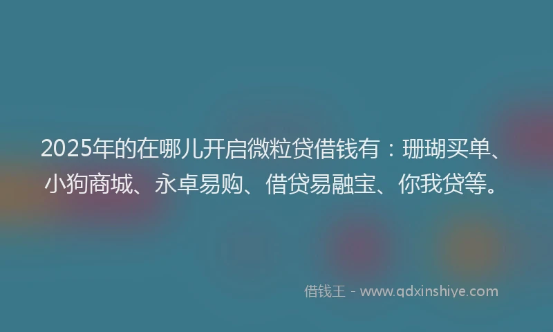 2025年的在哪儿开启微粒贷借钱有：珊瑚买单、小狗商城、永卓易购、借贷易融宝、你我贷等。