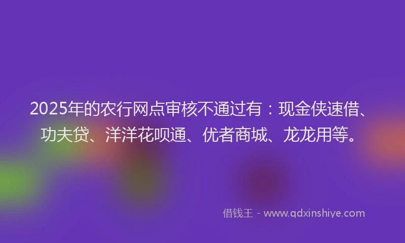 2025年的农行网点审核不通过有：现金侠速借、功夫贷、洋洋花呗通、优者商城、龙龙用等。