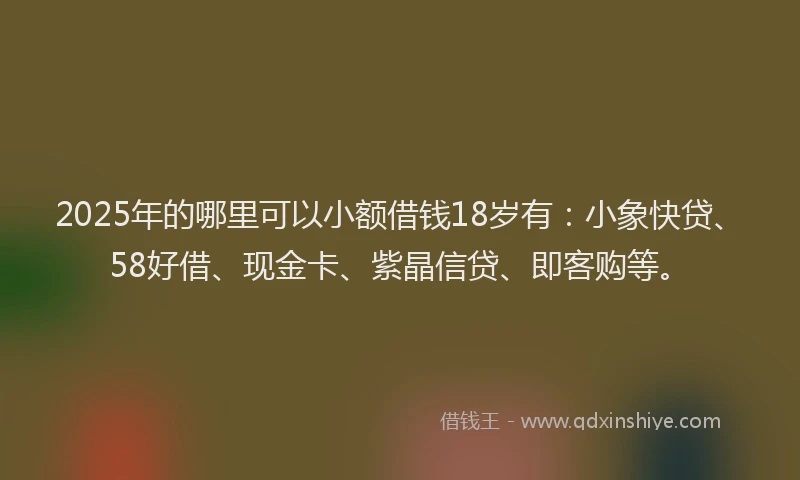 2025年的哪里可以小额借钱18岁有：小象快贷、58好借、现金卡、紫晶信贷、即客购等。