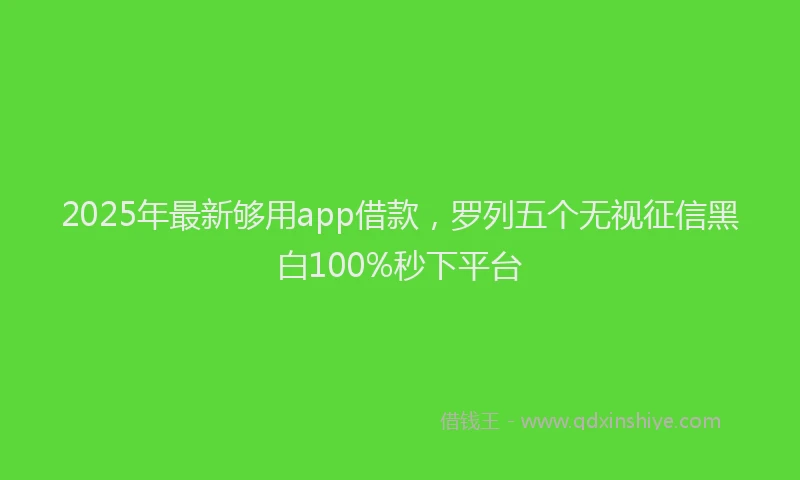 2025年最新够用app借款，罗列五个无视征信黑白100%秒下平台