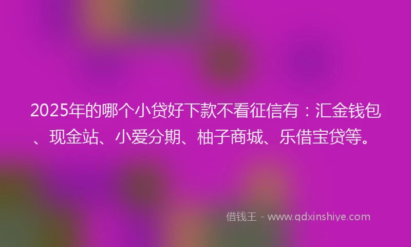 2025年的哪个小贷好下款不看征信有：汇金钱包、现金站、小爱分期、柚子商城、乐借宝贷等。