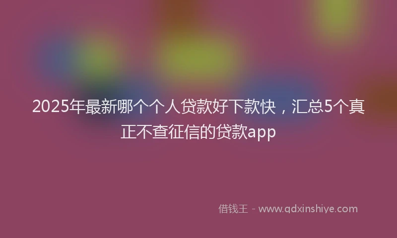 2025年最新哪个个人贷款好下款快，汇总5个真正不查征信的贷款app