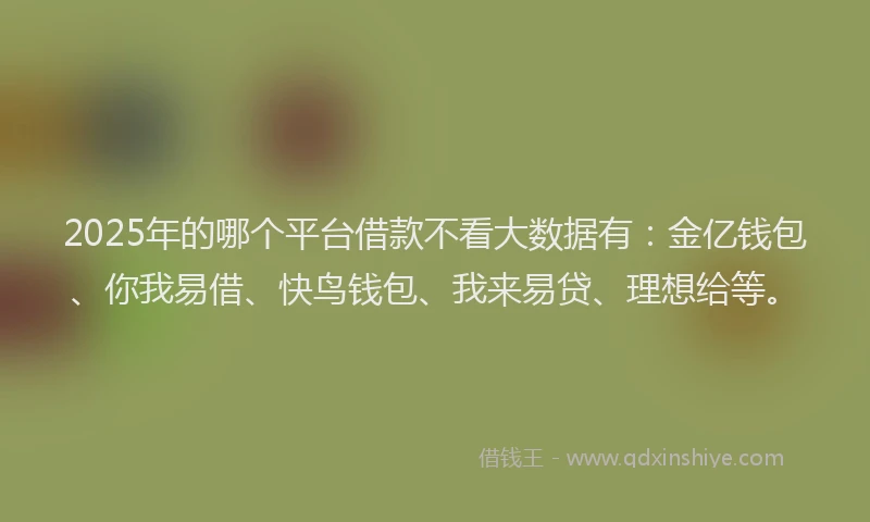 2025年的哪个平台借款不看大数据有：金亿钱包、你我易借、快鸟钱包、我来易贷、理想给等。