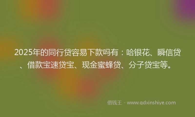 2025年的同行贷容易下款吗有：哈银花、瞬信贷、借款宝速贷宝、现金蜜蜂贷、分子贷宝等。