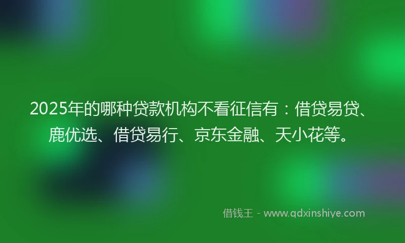 2025年的哪种贷款机构不看征信有：借贷易贷、鹿优选、借贷易行、京东金融、天小花等。