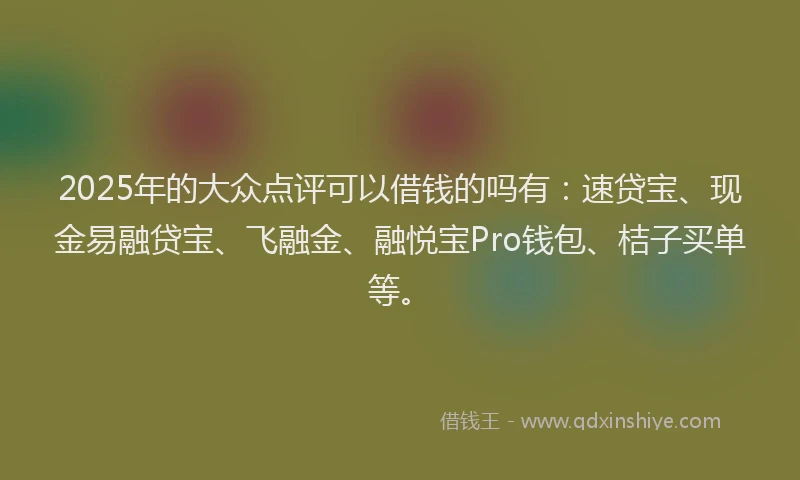 2025年的大众点评可以借钱的吗有：速贷宝、现金易融贷宝、飞融金、融悦宝Pro钱包、桔子买单等。