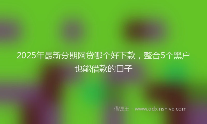 2025年最新分期网贷哪个好下款，整合5个黑户也能借款的口子