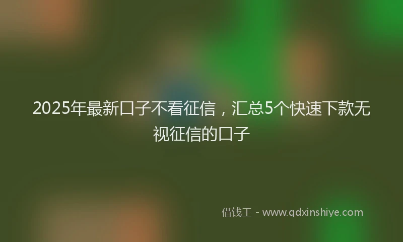 2025年最新口子不看征信，汇总5个快速下款无视征信的口子