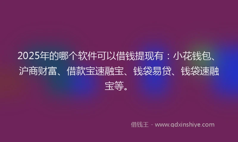 2025年的哪个软件可以借钱提现有：小花钱包、沪商财富、借款宝速融宝、钱袋易贷、钱袋速融宝等。