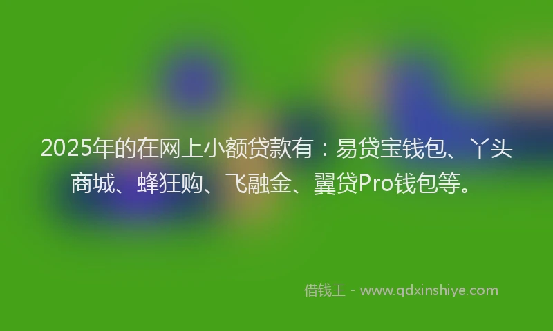 2025年的在网上小额贷款有：易贷宝钱包、丫头商城、蜂狂购、飞融金、翼贷Pro钱包等。