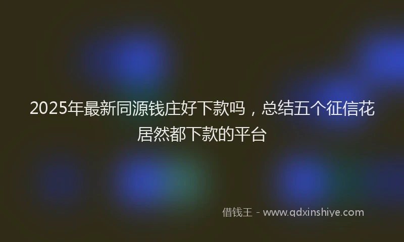 2025年最新同源钱庄好下款吗，总结五个征信花居然都下款的平台