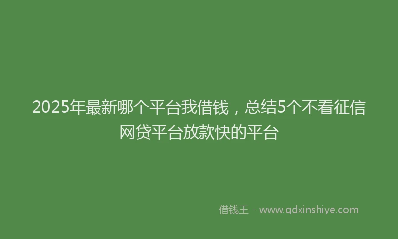 2025年最新哪个平台我借钱，总结5个不看征信网贷平台放款快的平台
