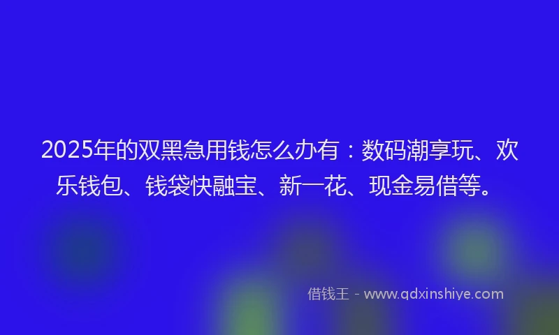 2025年的双黑急用钱怎么办有：数码潮享玩、欢乐钱包、钱袋快融宝、新一花、现金易借等。