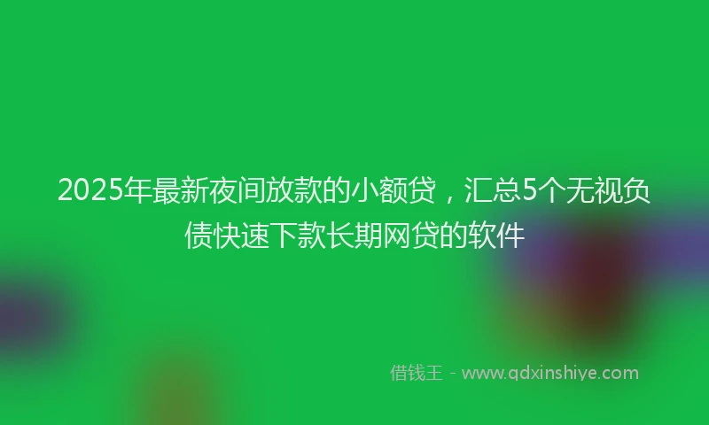 2025年最新夜间放款的小额贷，汇总5个无视负债快速下款长期网贷的软件