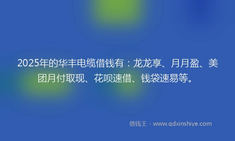 2025年的华丰电缆借钱有：龙龙享、月月盈、美团月付取现、花呗速借、钱袋速易等。