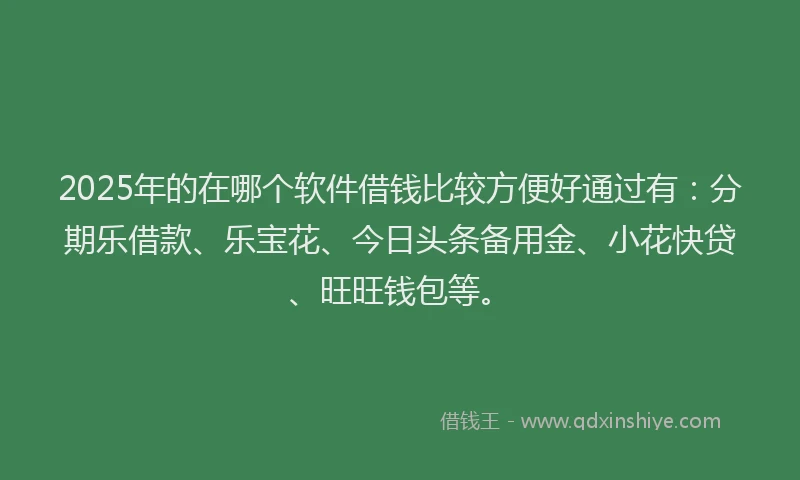 2025年的在哪个软件借钱比较方便好通过有：分期乐借款、乐宝花、今日头条备用金、小花快贷、旺旺钱包等。