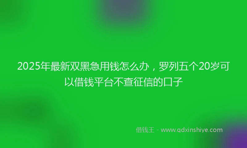 2025年最新双黑急用钱怎么办，罗列五个20岁可以借钱平台不查征信的口子