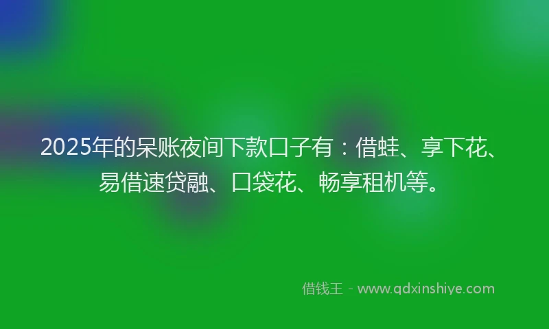 2025年的呆账夜间下款口子有：借蛙、享下花、易借速贷融、口袋花、畅享租机等。