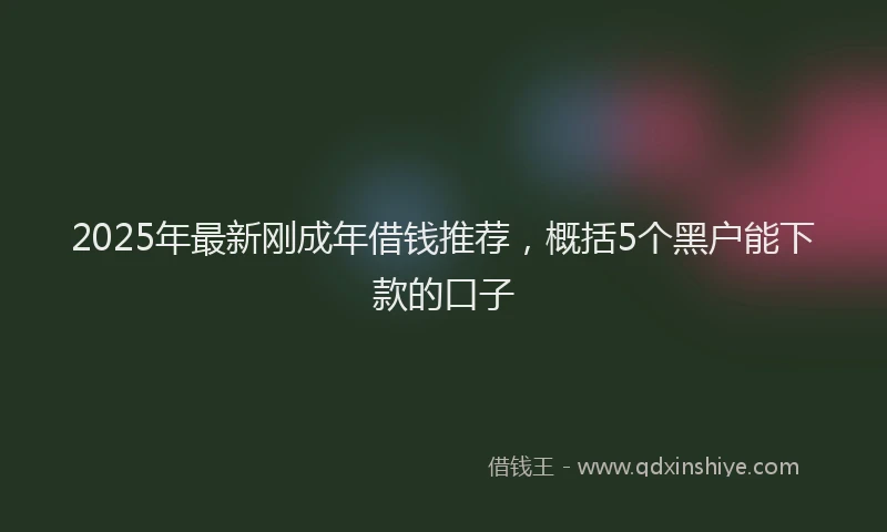 2025年最新刚成年借钱推荐，概括5个黑户能下款的口子