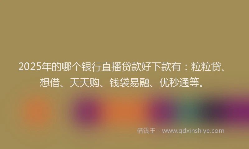 2025年的哪个银行直播贷款好下款有：粒粒贷、想借、天天购、钱袋易融、优秒通等。
