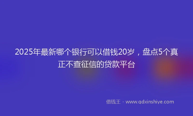 2025年最新哪个银行可以借钱20岁，盘点5个真正不查征信的贷款平台
