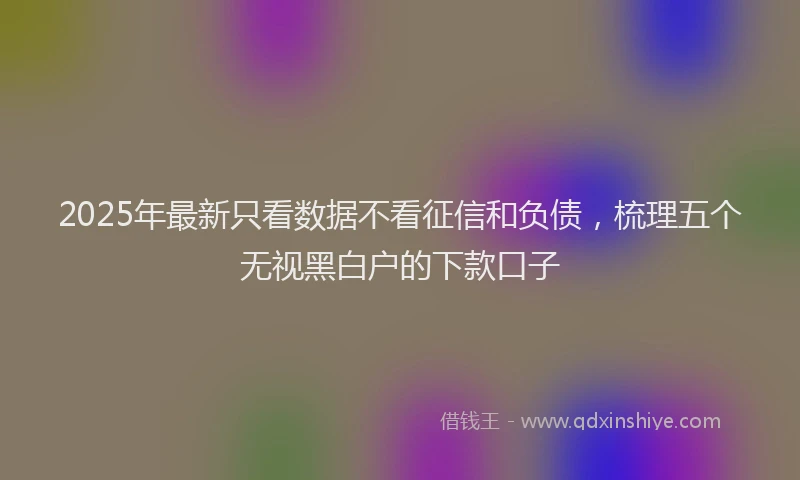 2025年最新只看数据不看征信和负债，梳理五个无视黑白户的下款口子