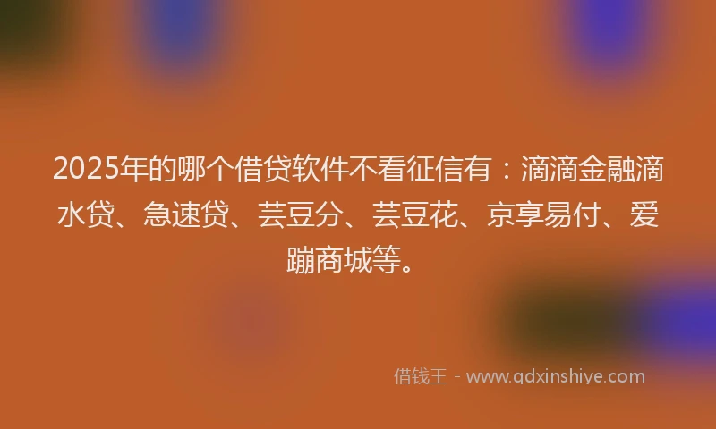 2025年的哪个借贷软件不看征信有：滴滴金融滴水贷、急速贷、芸豆分、芸豆花、京享易付、爱蹦商城等。