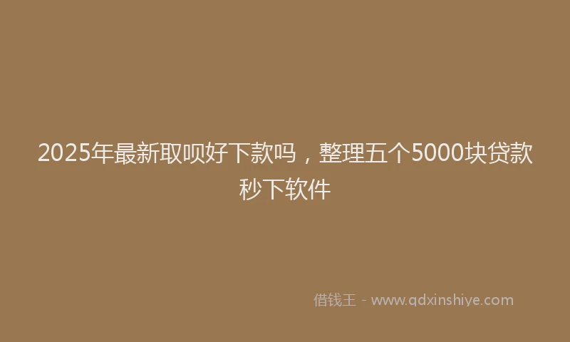 2025年最新取呗好下款吗，整理五个5000块贷款秒下软件