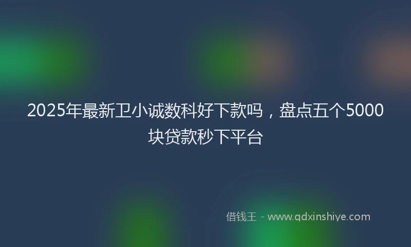 2025年最新卫小诚数科好下款吗，盘点五个5000块贷款秒下平台