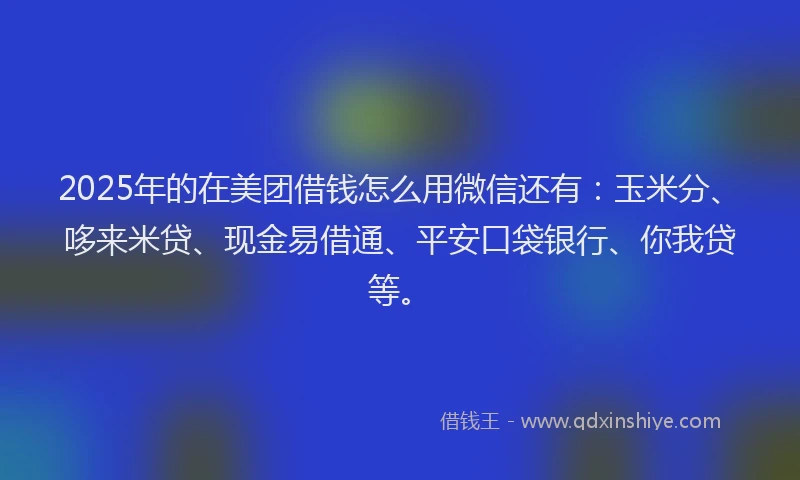 2025年的在美团借钱怎么用微信还有：玉米分、哆来米贷、现金易借通、平安口袋银行、你我贷等。