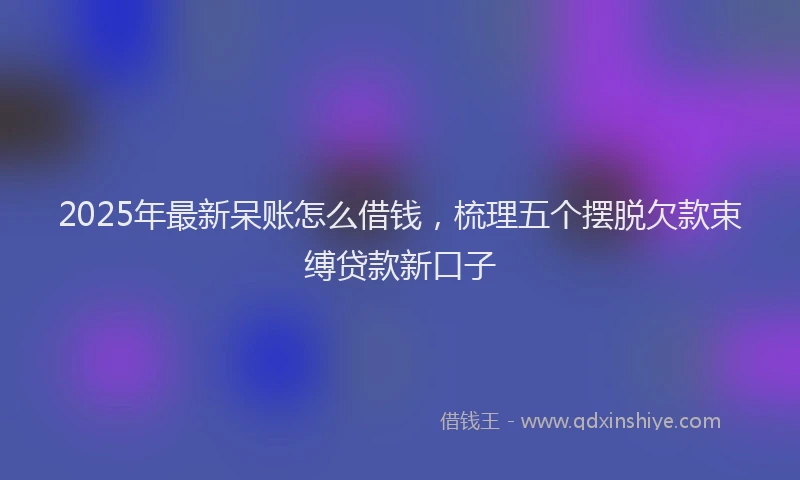 2025年最新呆账怎么借钱，梳理五个摆脱欠款束缚贷款新口子