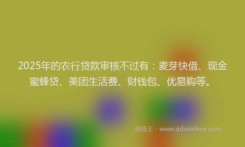 2025年的农行贷款审核不过有：麦芽快借、现金蜜蜂贷、美团生活费、财钱包、优易购等。
