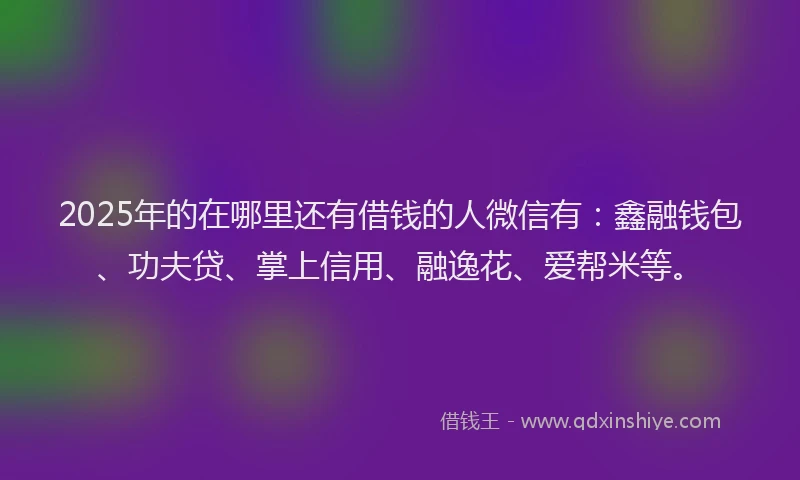 2025年的在哪里还有借钱的人微信有：鑫融钱包、功夫贷、掌上信用、融逸花、爱帮米等。
