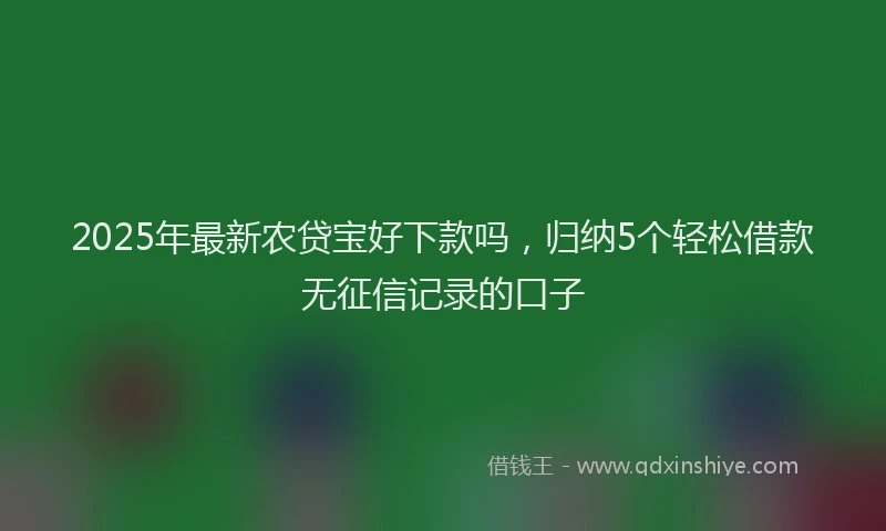 2025年最新农贷宝好下款吗，归纳5个轻松借款无征信记录的口子