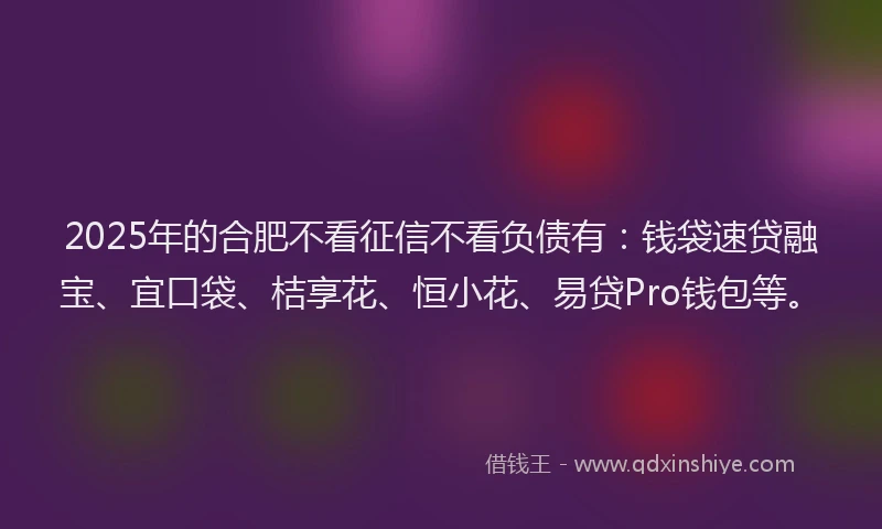 2025年的合肥不看征信不看负债有：钱袋速贷融宝、宜口袋、桔享花、恒小花、易贷Pro钱包等。