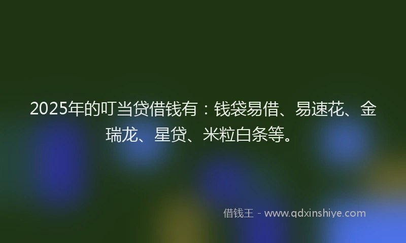 2025年的叮当贷借钱有：钱袋易借、易速花、金瑞龙、星贷、米粒白条等。