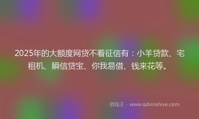 2025年的大额度网贷不看征信有：小羊贷款、宅租机、瞬信贷宝、你我易借、钱来花等。