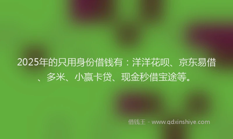 2025年的只用身份借钱有：洋洋花呗、京东易借、多米、小赢卡贷、现金秒借宝途等。