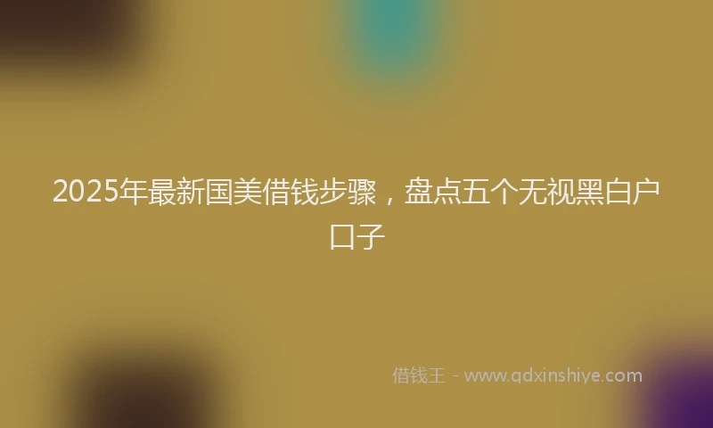 2025年最新国美借钱步骤，盘点五个无视黑白户口子