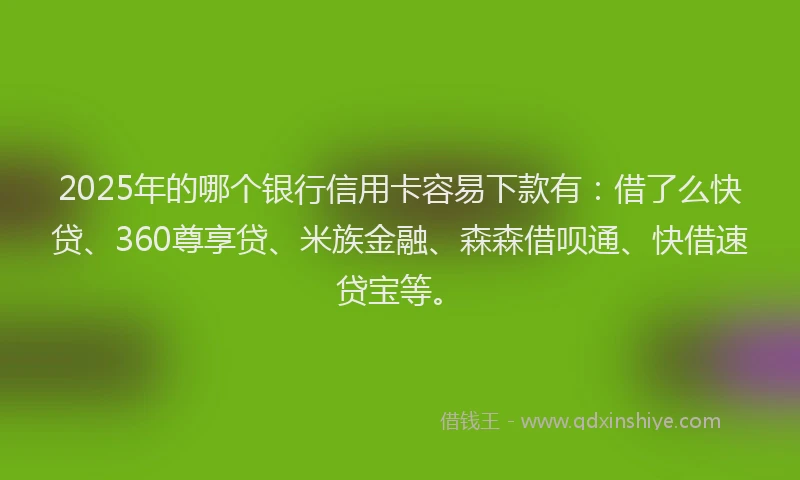 2025年的哪个银行信用卡容易下款有：借了么快贷、360尊享贷、米族金融、森森借呗通、快借速贷宝等。