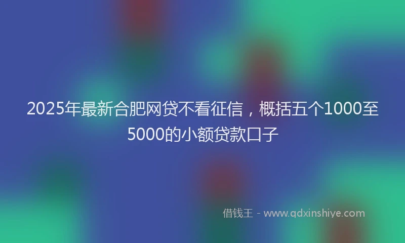 2025年最新合肥网贷不看征信，概括五个1000至5000的小额贷款口子