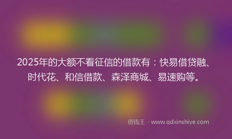 2025年的大额不看征信的借款有：快易借贷融、时代花、和信借款、森泽商城、易速购等。