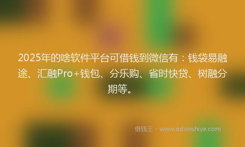 2025年的啥软件平台可借钱到微信有：钱袋易融途、汇融Pro+钱包、分乐购、省时快贷、树融分期等。